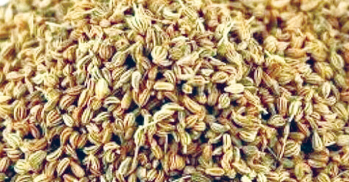 Carom seeds boost immunity.