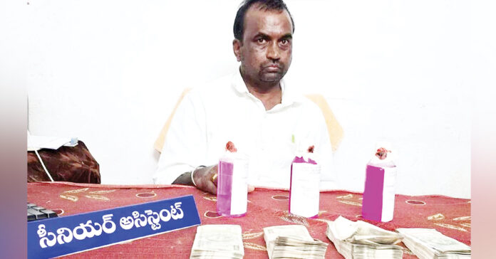 The senior assistant was caught by the ACB.