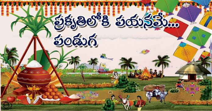 ప్రకృతిలోకి పయనమే… పండుగ