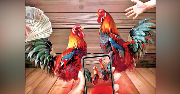 ఆన్లైన్లో కోఢీ