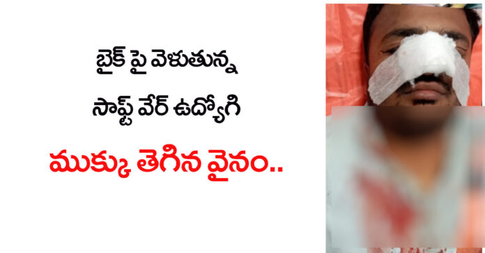 Another tragedy with Manja