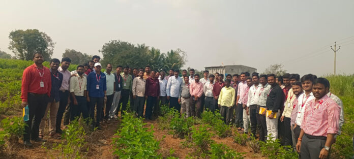 Banks should give loans to silk farmers