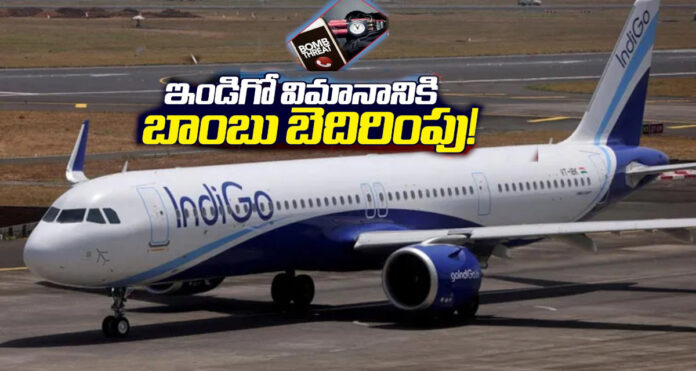 ఇండిగో ఎమర్జెన్సీ ల్యాండింగ్