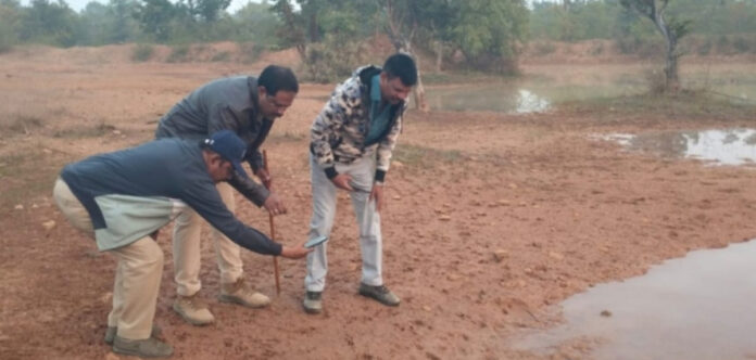 Completed wildlife survey