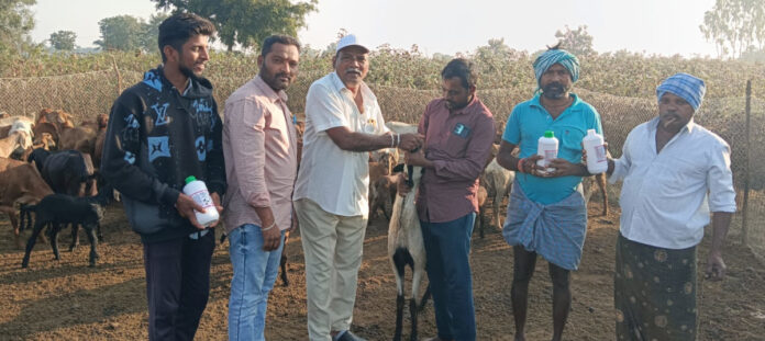 Deworming is mandatory for livestock.