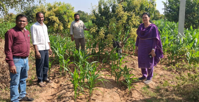 ఉద్యానవన, పట్టు పరిశ్రమల పంటలను పరిశీలించిన జిల్లాధికారిని