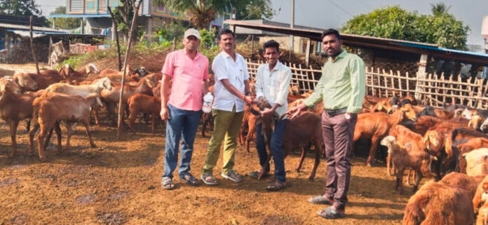 మూగ జీవాలకు నట్టల నివారణ మందులు వేయించాలి