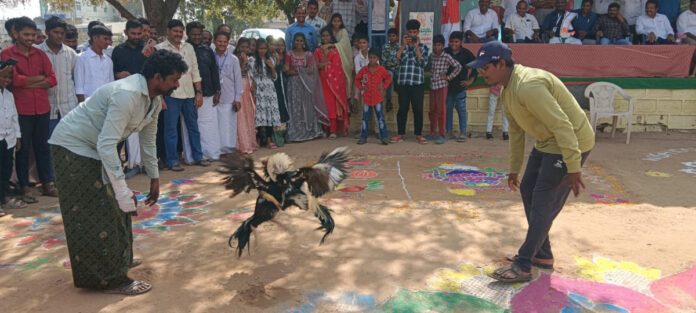 Early Sankranti celebrations begin in Peddavoora