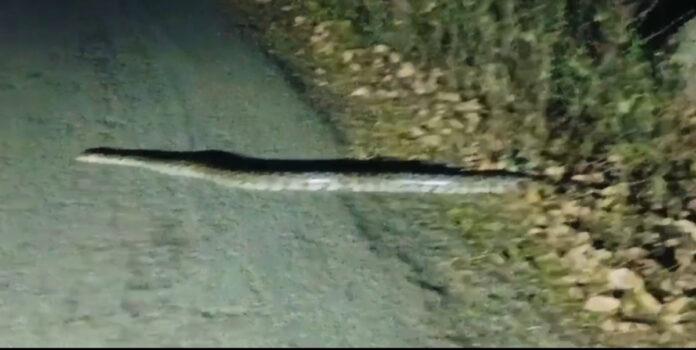 Farmers.. be careful!