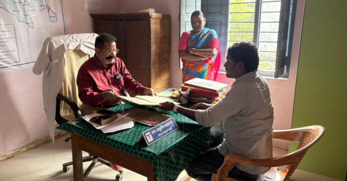 Good quality cattle through artificial insemination.!