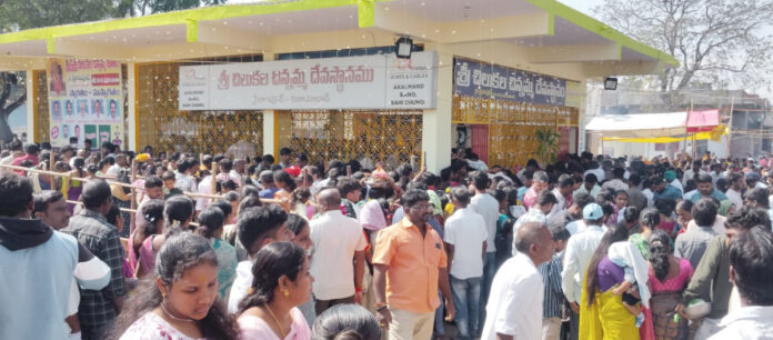 Grand parrot festival