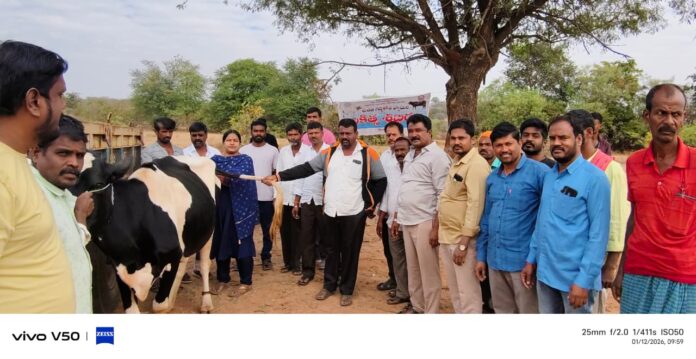 Dairy farmers should take advantage of the incentives provided by the government.