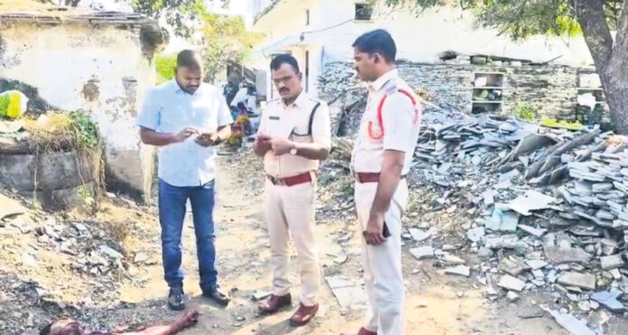 The elder brother murdered his younger brother for property.