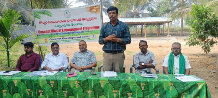 Increase in subsidies for coconut cultivation