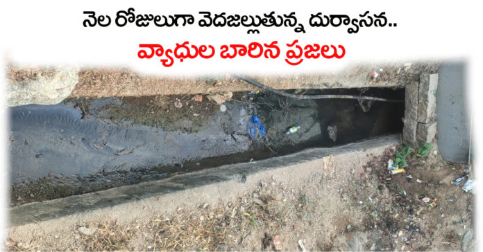 Lack of sanitation in Chinnakodur