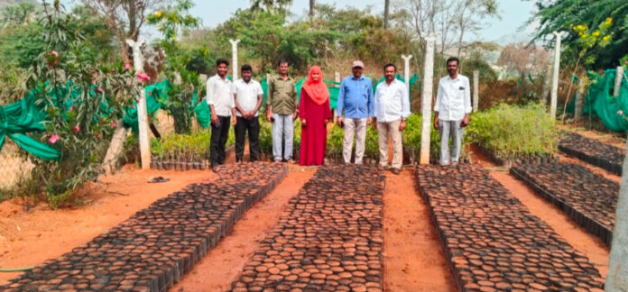 రాంరెడ్డిపల్లి నర్సరీని తనిఖీ చేసిన ఎంపీడీఓ