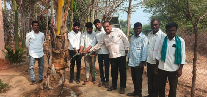 MPDO organized watering day