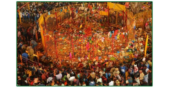 మేడారంలో పశు రక్షణకు చర్యలు