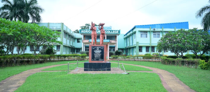 Municipal vote counting center at Agricultural College