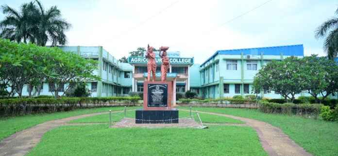 Municipal vote counting center at Agricultural College
