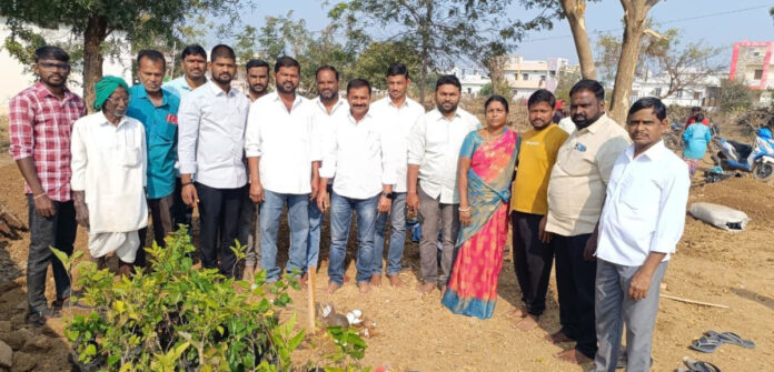 Proper care should be taken in nursery cultivation.