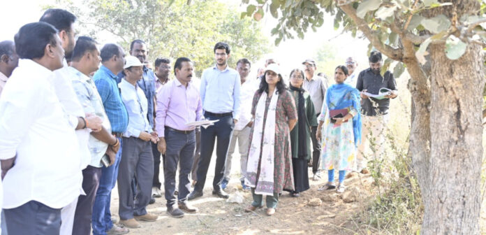 Proposals should be sent with comprehensive details: Collector