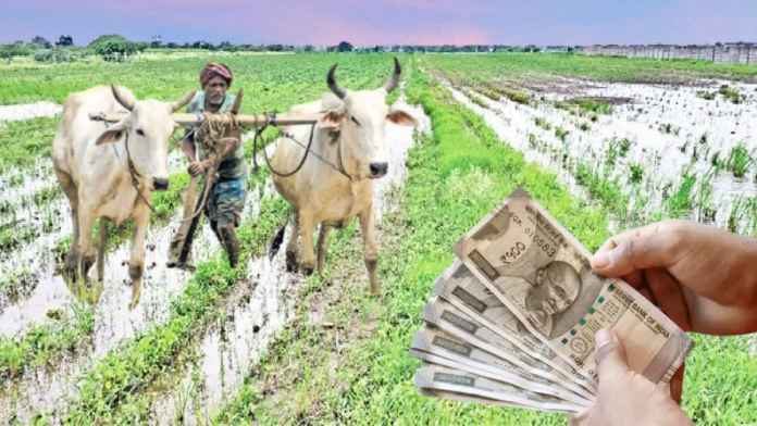 Sankranti is over.. Farmers are assured!