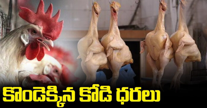 The chicken that climbed the hill.!