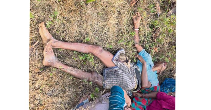 తాటి చెట్టు పైనుంచి పడి గీత కార్మికుడు మృతి