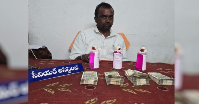 లంచం తీసుకుంటూ ఏసీబీకి చిక్కిన సీనియర్ అసిస్టెంట్