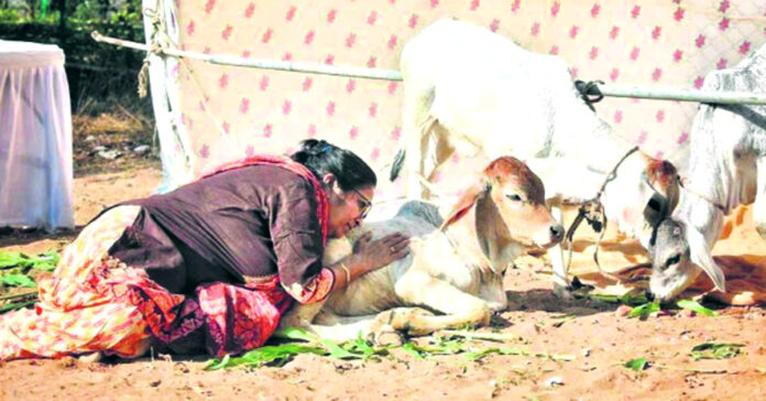 Deception: Claiming that cancer can be cured with cow-based products.