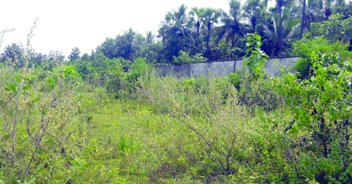 In the name of Visakha Economic Region... a huge land grab