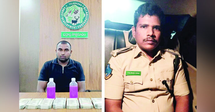 అటవీశాఖలో ఏసీబీ దాడులు