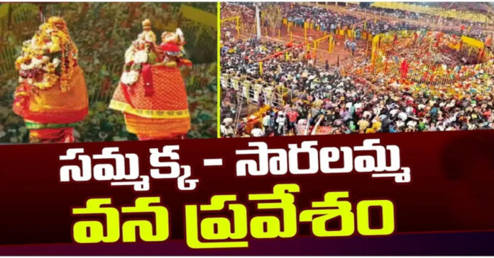 మేడారం జాతర.. వన దేవతల వన ప్రవేశం
