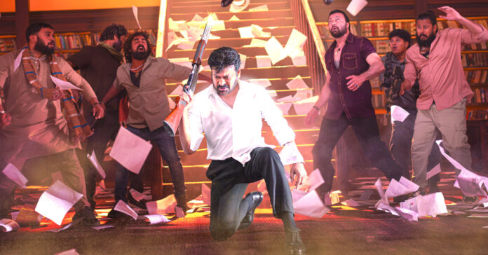 Ready for the Sankranthi festival!