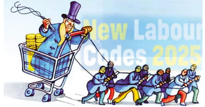 Labour Codes and roundabout arguments!