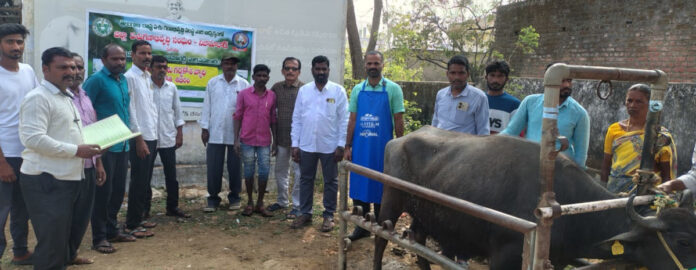 Veterinary camp in Reddypet