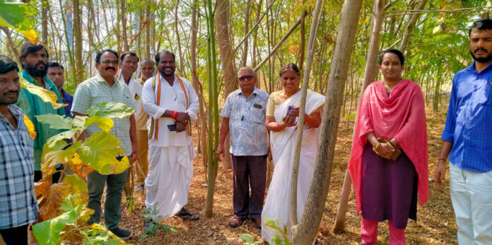 Village nature forests.. Observation of Indirammas house structures