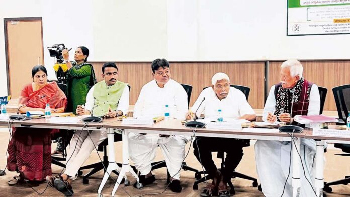 ఉద్యానపంటల సాగు విస్తీర్ణం పెరగాలి