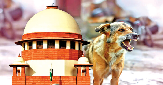 పరిహారం చెల్లించాల్సిందే..!