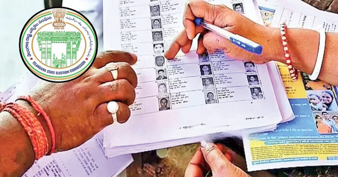 Municipal elections
