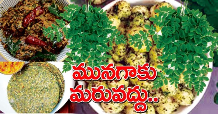 మునగాకు మరువద్దు..