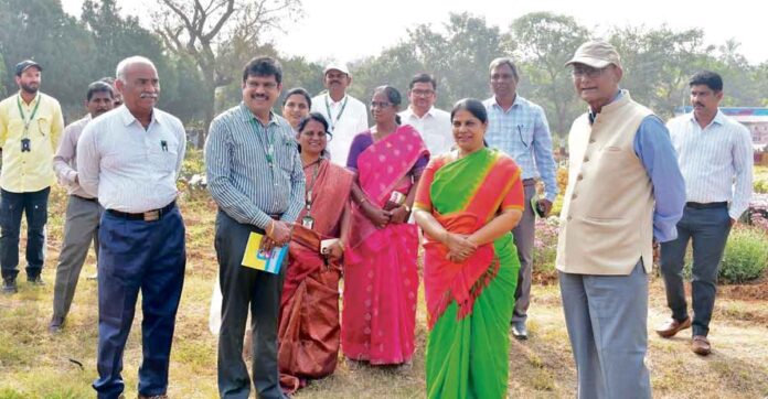 సేంద్రీయ పద్ధతిలో సాగు చేయాలి