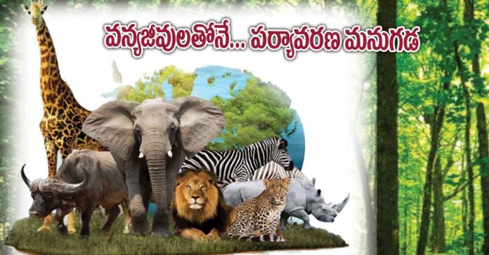 వన్యజీవులతోనే… పర్యావరణ మనుగడ