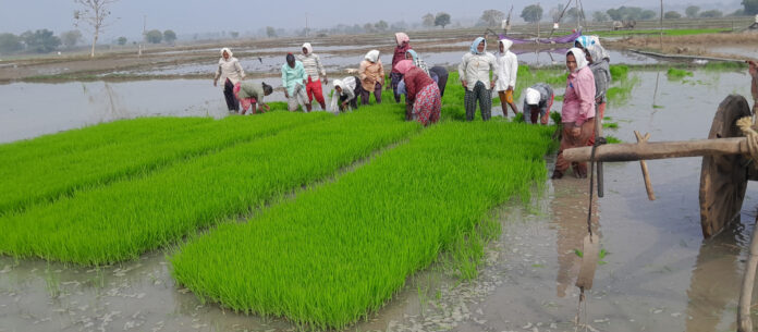 రైతుకు భరోసా ఎక్కడ.?