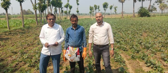 A team of scientists visited the crop fields