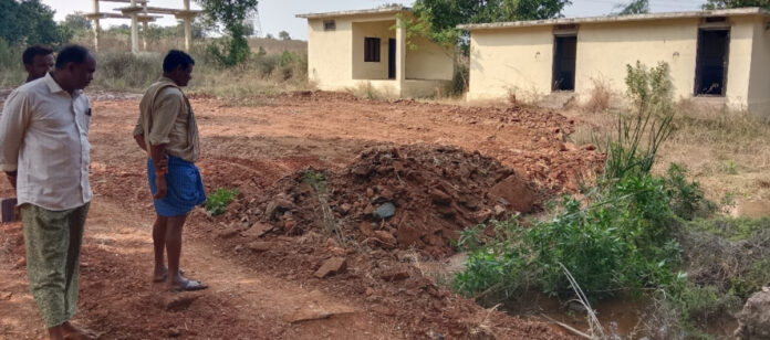 A disused cemetery brought to life