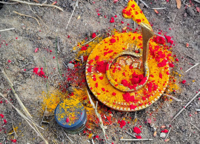 సమ్మక్క-సారలమ్మ ఆవరణలో నాగేంద్రుడు ప్రతిమ లభ్యం