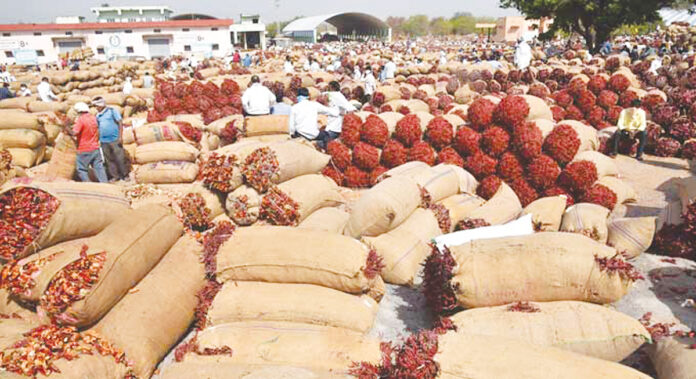 Wonder Hot chili peppers fetch a record price.