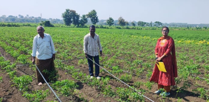 Drip irrigation at 100% subsidy!